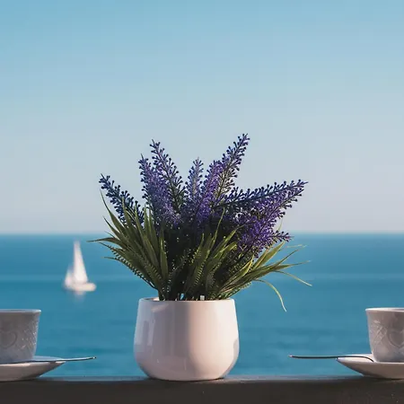 Casa Conca Azzurra 公寓 Costarainera